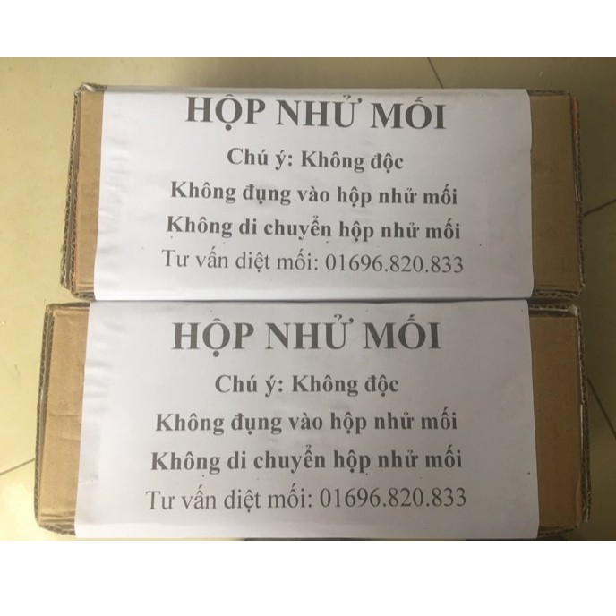 Hộp nhử mối + Thuốc diệt mối sinh học: dùng cho các công trình xây dựng, gỗ, tre...