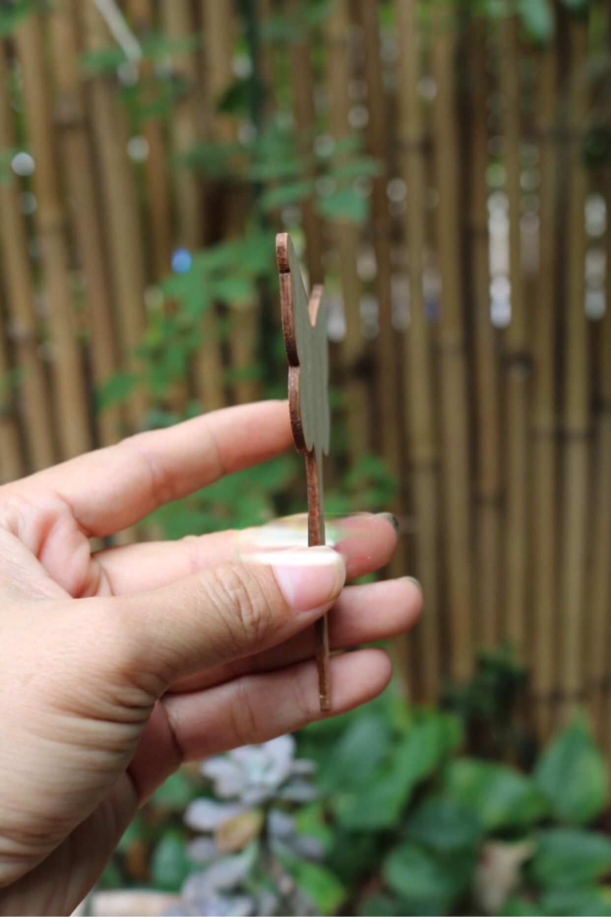 Thẻ gỗ ghi tên cây-gỗ tre- giá bán theo cái