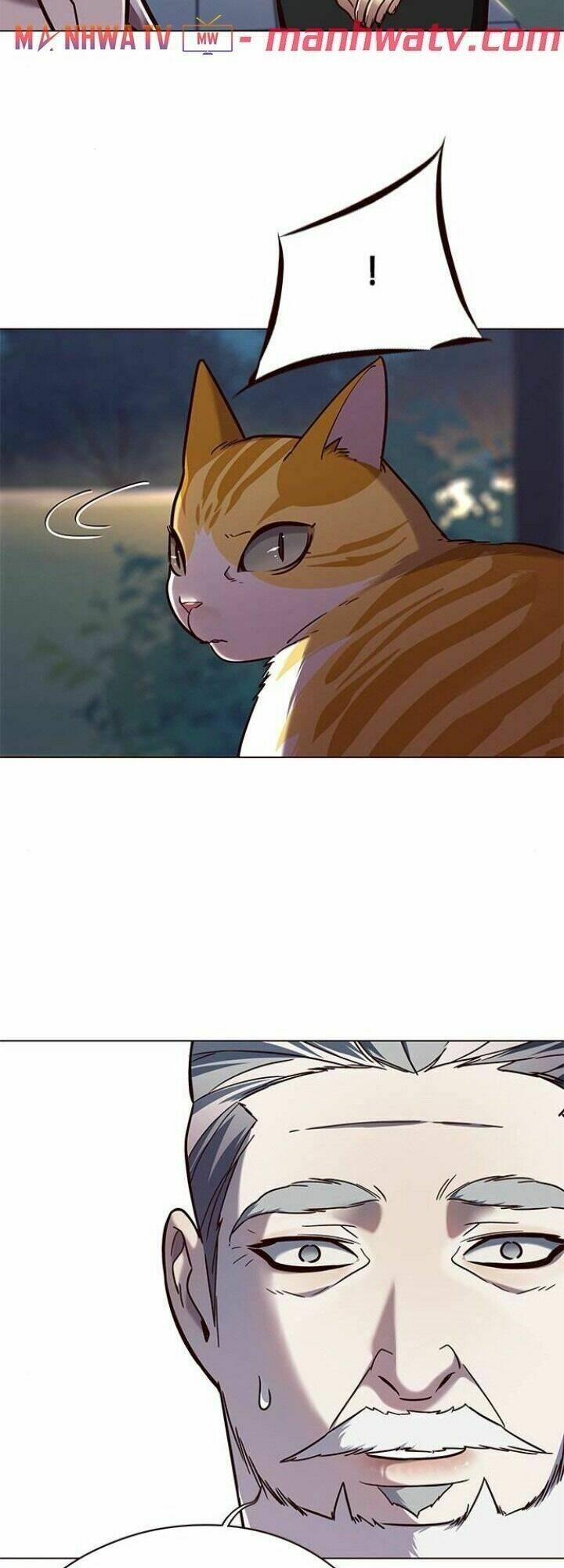 biến thân thành mèo chapter 91 52