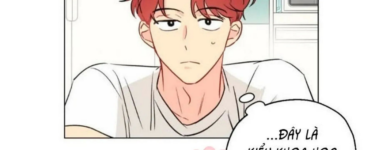 chuyện quái gì với giấc mơ đó vậy chapter 2 118