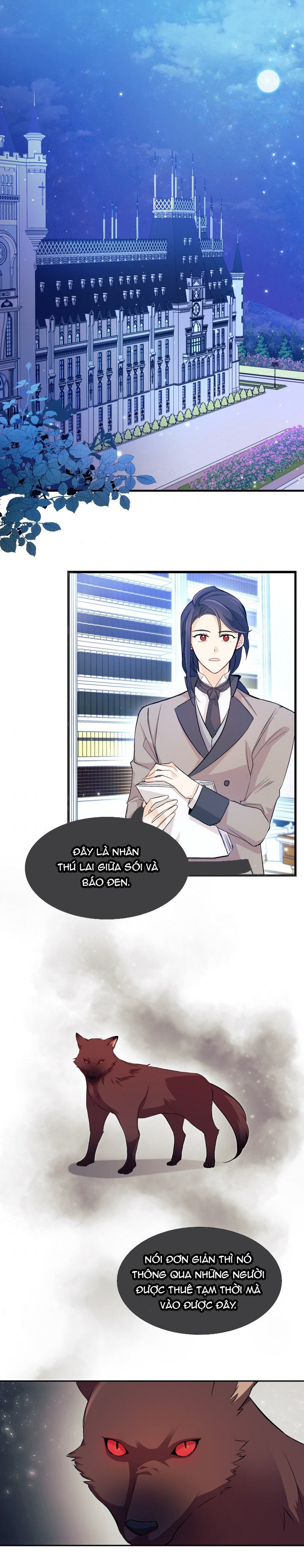 mối liên kết giữa báo đen và bé thỏ chapter 15 2