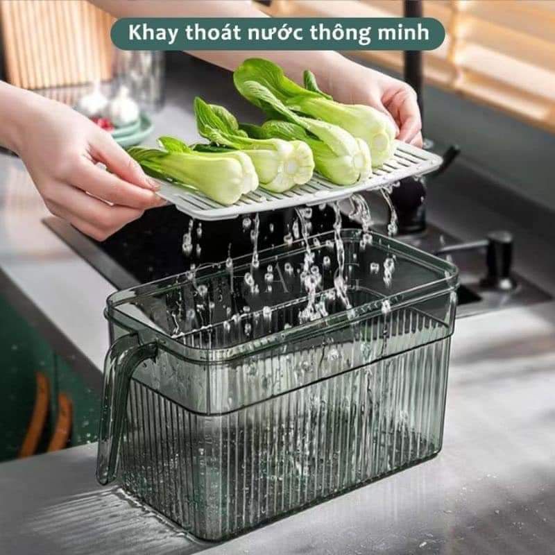 Hộp Đựng Thực Phẩm Tủ Lạnh Tách Nước Có Tay Cầm, Chất Liệu Cao Cấp, Trong Suốt, Đảm Bảo An Toàn Sức Khoẻ