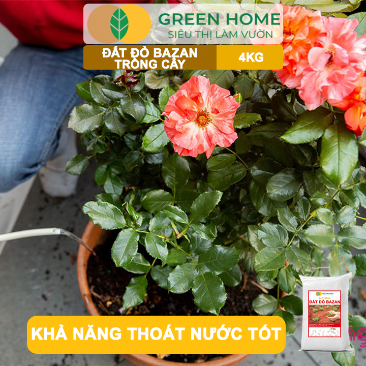 Đất Đỏ Bazan Greenhome, Bao 4Kg, Đất Trồng Cây, Bổ Sung Phân Hữu Cơ, Vi Sinh Trồng Hoa Hồng, Kiểng Lá, Rau