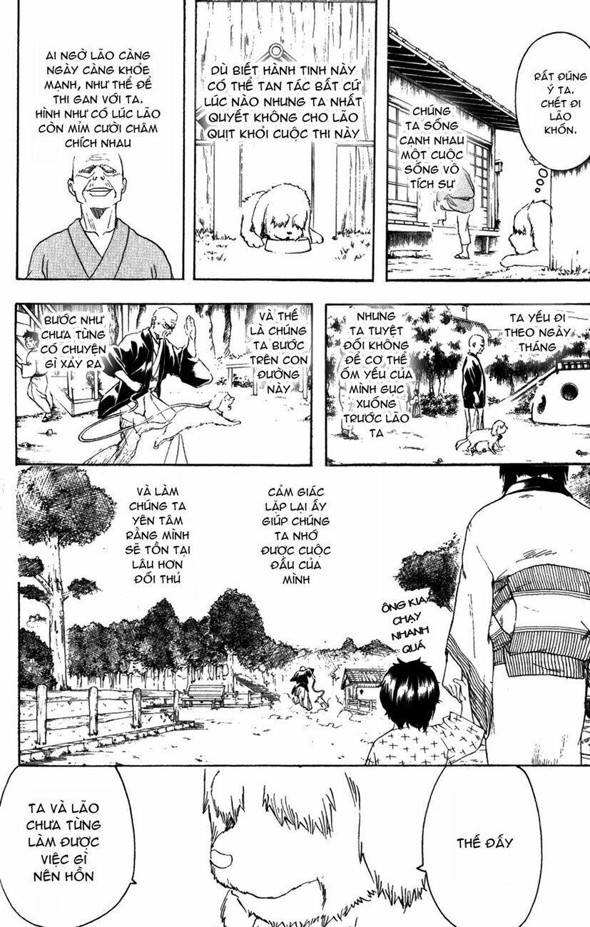 gintama - linh hồn bạc chapter 208 18