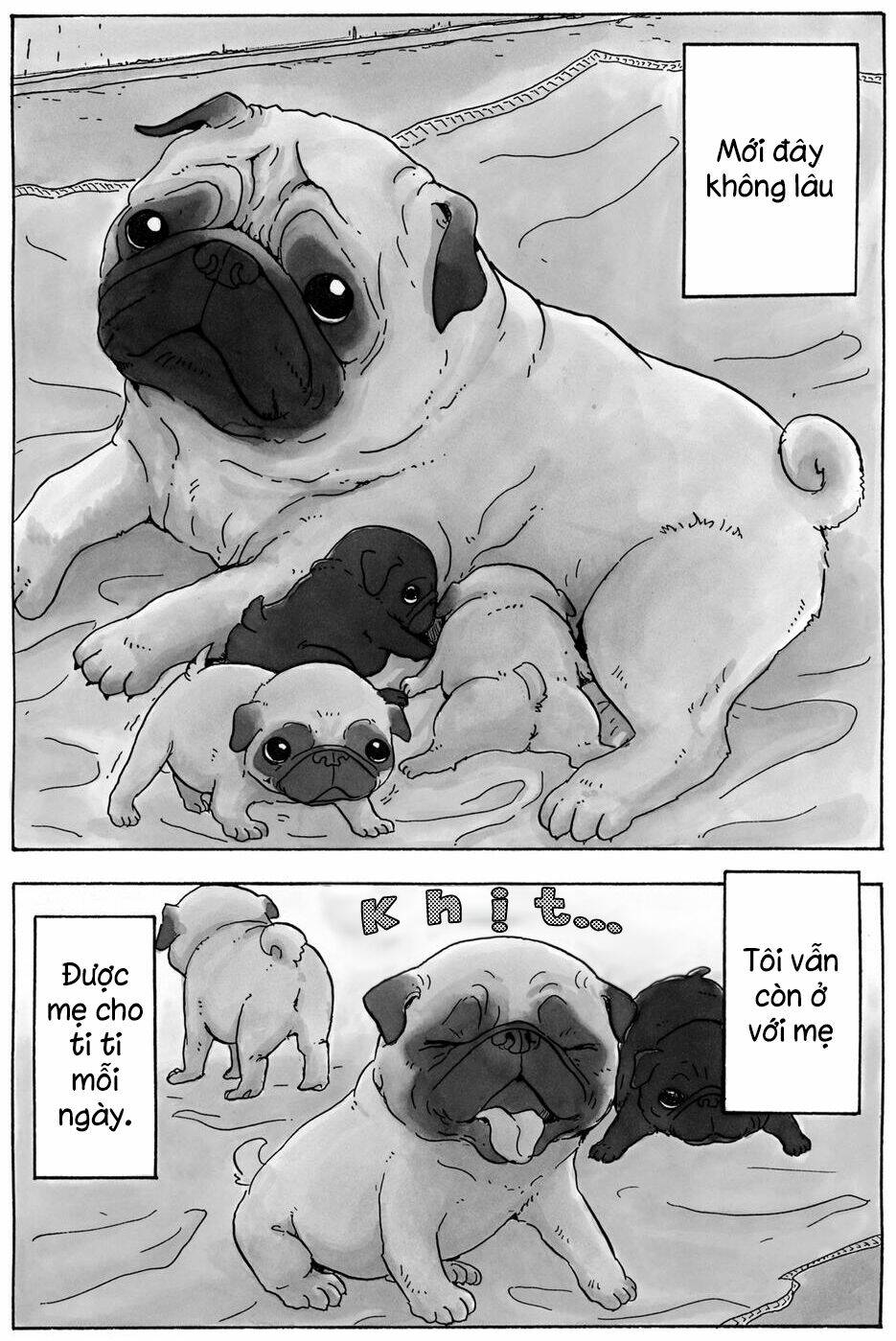 hoshi mamoru inu chapter 9 6