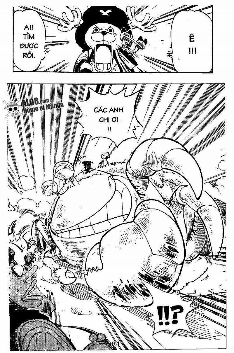 đảo hải tặc - one piece chapter 176 16