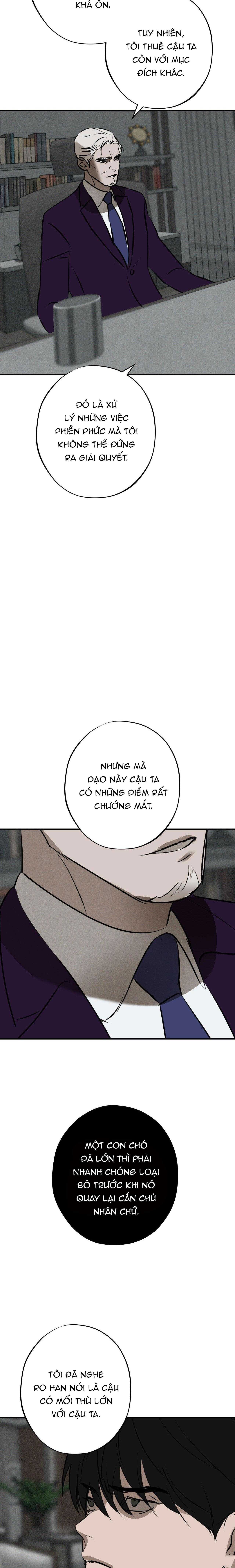 rủi ro chapter 19 15