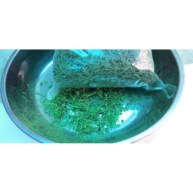 100gr cỏ cắm hoa
