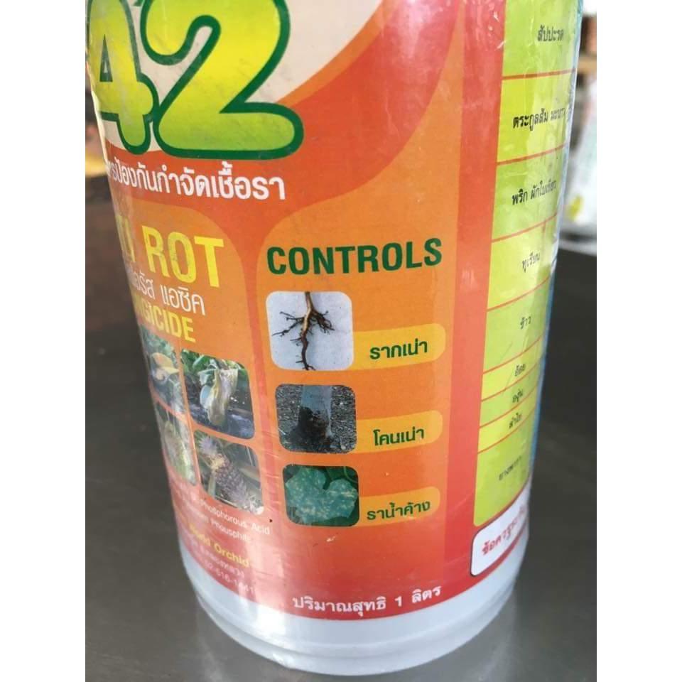 PHS 42 - Chống thối Nhũn Lan - Thái lan 1 lít