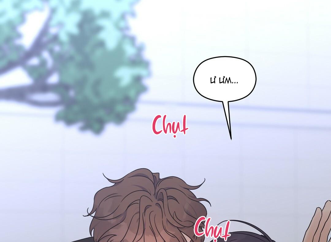 phức cảm tự ti của omega chapter 26 42