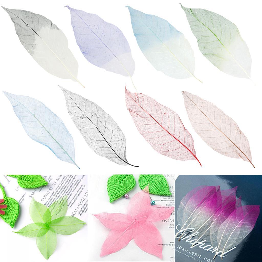 100 Pieces Natural Plant Leaves for Craft Cards Scrapbooking Bookmark DIY