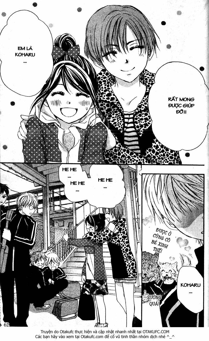 hachimitsu ni hatsukoi chapter 41 29