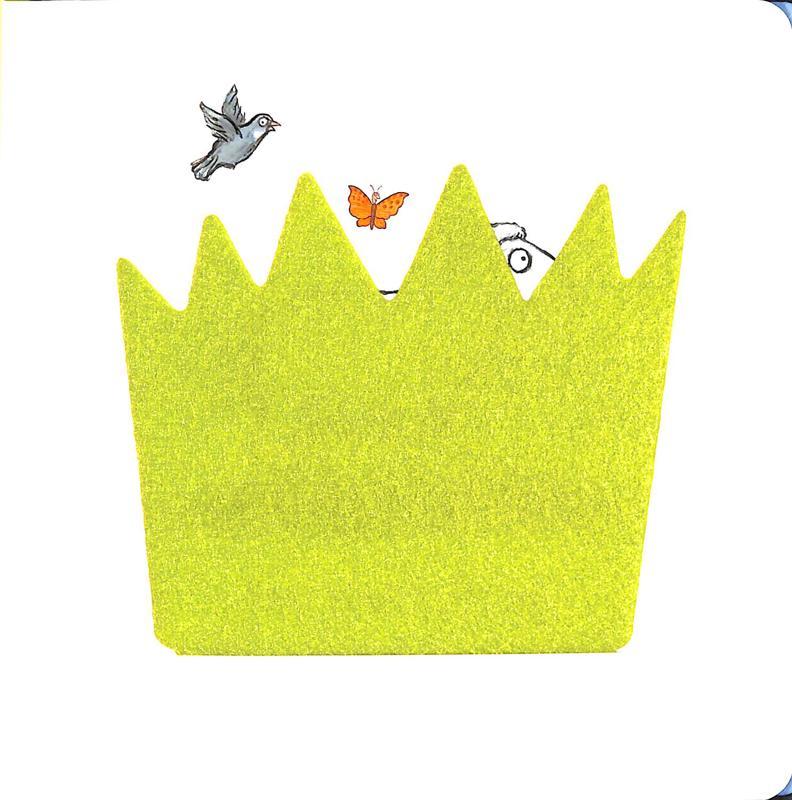 Who's Hiding On The Farm?: A Felt Flaps Book (Campbell Axel Scheffler 19)