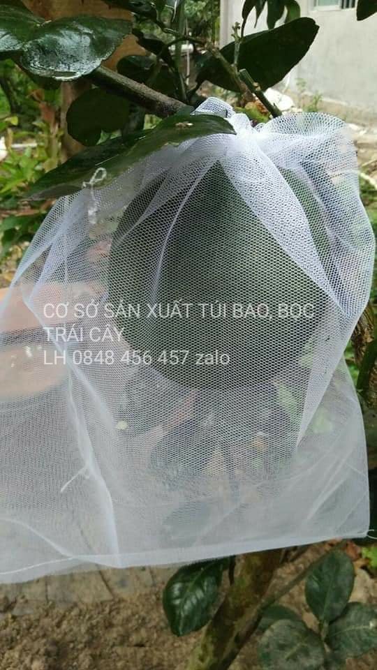 TÚI BỌC BƯỞI,DƯA LƯỚI,CHÙM NHO CHẮT LIỆU LƯỚI DÀY TỐT KÍCH THƯỚC 30*35cm