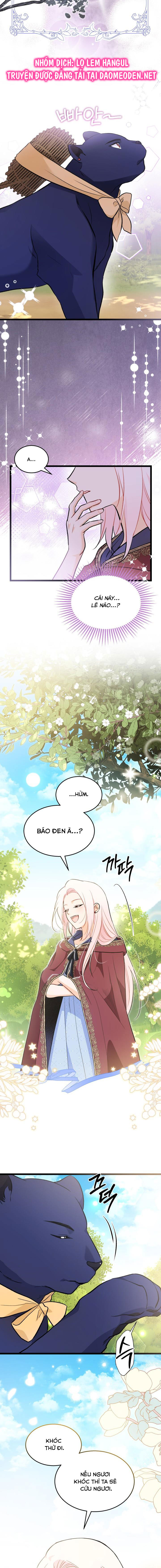 mối liên kết giữa báo đen và bé thỏ chapter 150 13