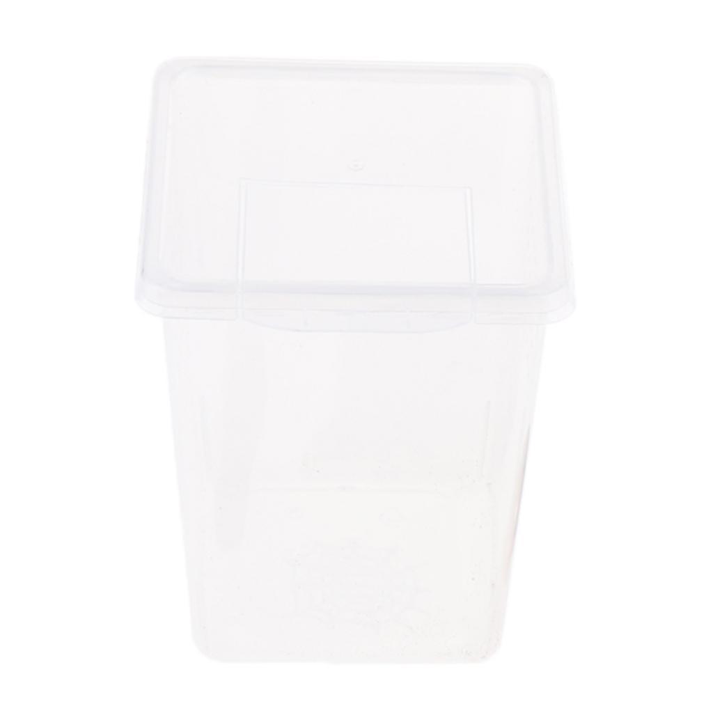 20x Reptile Feeding Container Vivarium Rearing Box for Outing Raise