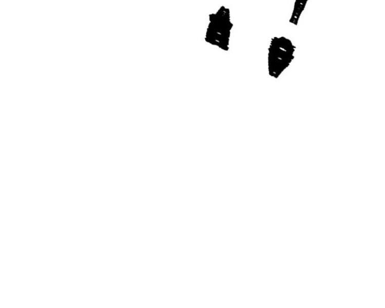 image 418