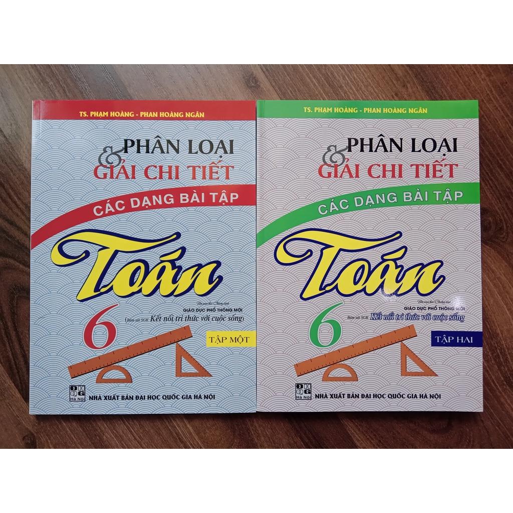 Sách - Combo 2 cuốn Phân Loại Và Giải Chi Tiết Các Dạng Bài Tập Toán Lớp 6