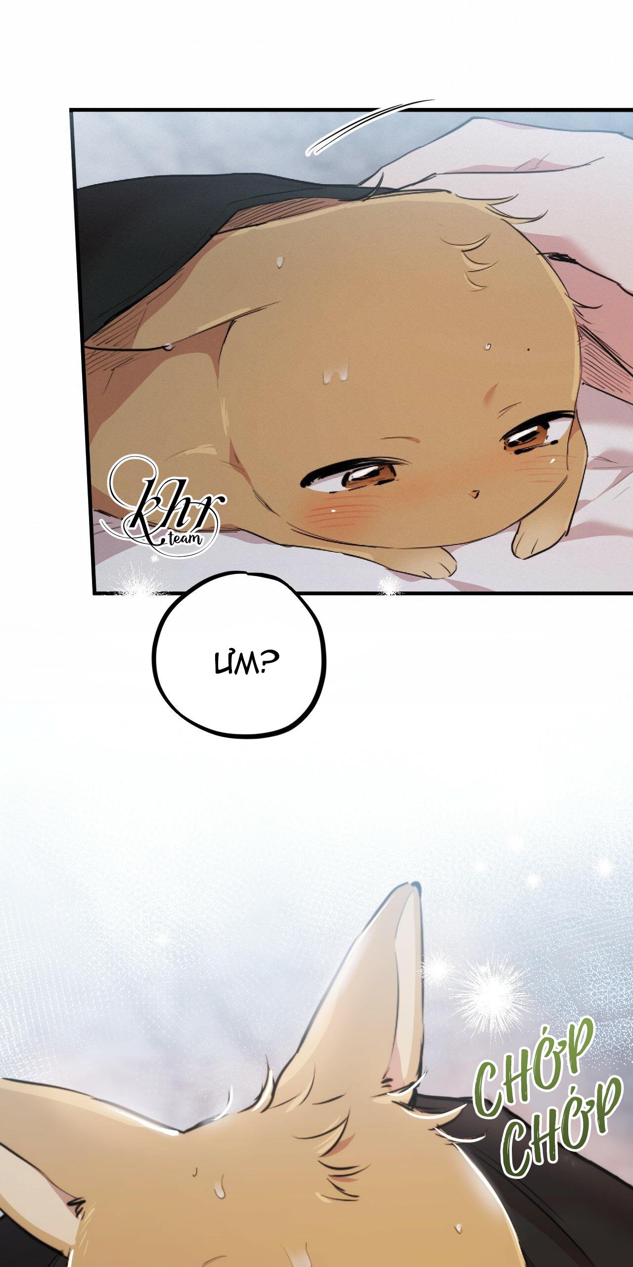 những chú thỏ của hapypy chapter 35 10