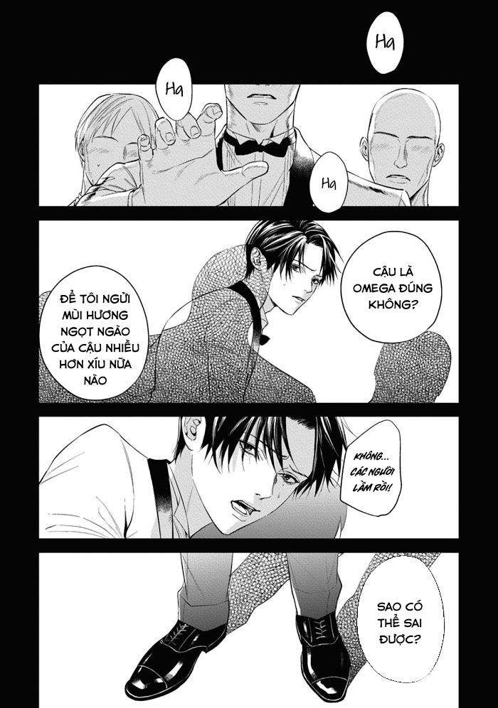 cô dâu của alpha chapter 2 1