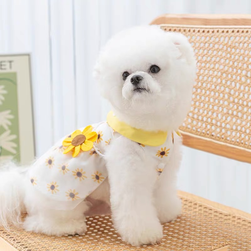 Váy hoa vàng siêu dễ thương từ 0.5-10kg dành cho chó mèo