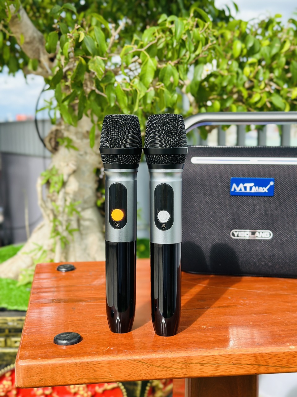 HÀNG CHÍNH HÃNG | Loa Xách Tay YIBOLANG F2 Pro - Công Suất 160W, Âm Thanh Đánh Cực Khủng, Tặng Kèm 2 Micro Không Dây Và Phụ Kiện Dây Đeo Chéo, Bảo Hành 12 Tháng