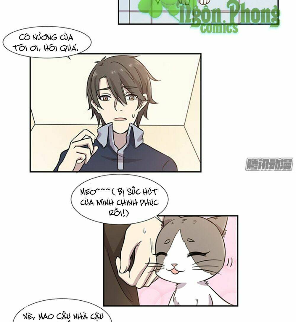 hai chú mèo totem chapter 29 5