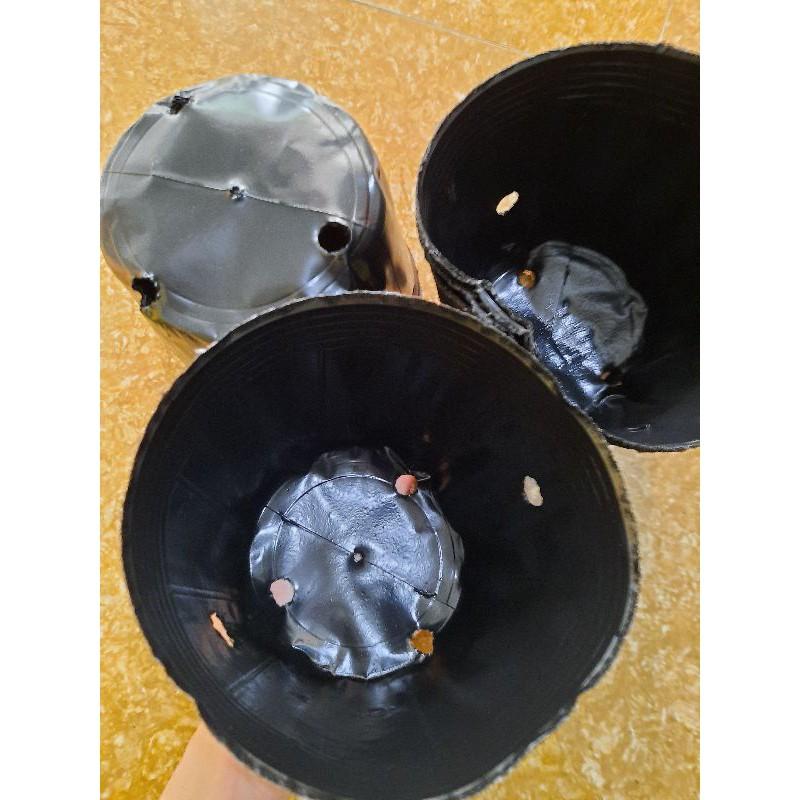 1kg chậu nhựa dẻo ươm cây 18x16