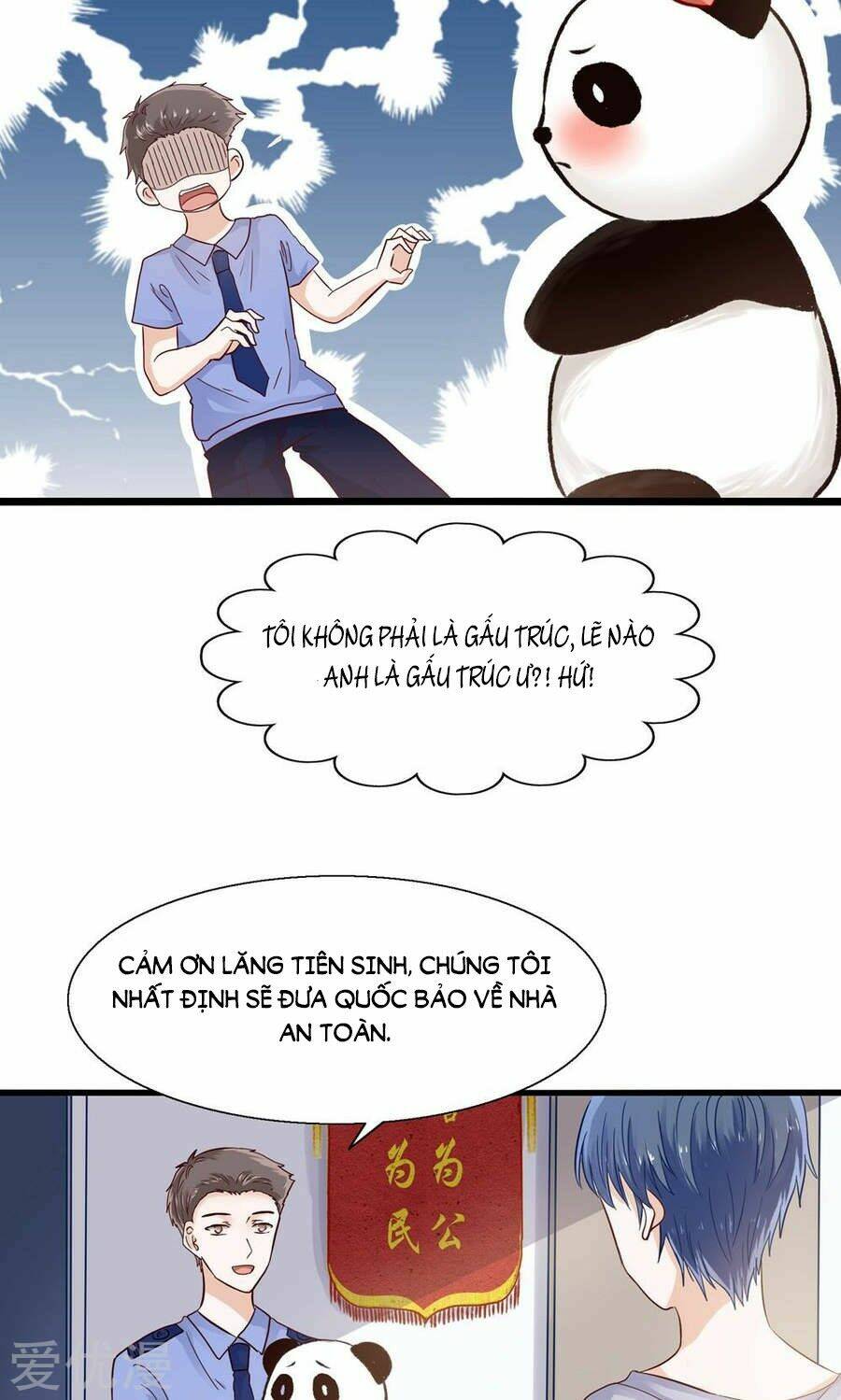 tôi bị gấu trúc nhìn trúng rồi chapter 4 6