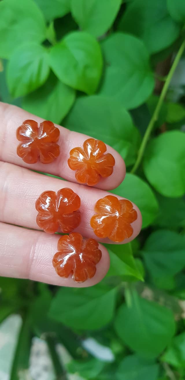 Mặt Bông Hoa cỏ 4 lá màu cam đậm nữ phối vòng tay,làm mặt nhẫn Chất liệu đá cẩm thạch size hạt 15mm x dầy 6mm Nữ về phối với vòng tay của mình đeo hay làm mặt nhẫn mặt dây chuyền đeo xinh ạ