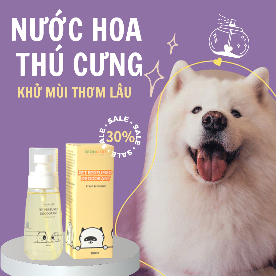 Nước Hoa Thú Cưng BEONCARE khử mùi hôi chó mèo Lưu Hương cả ngày dài