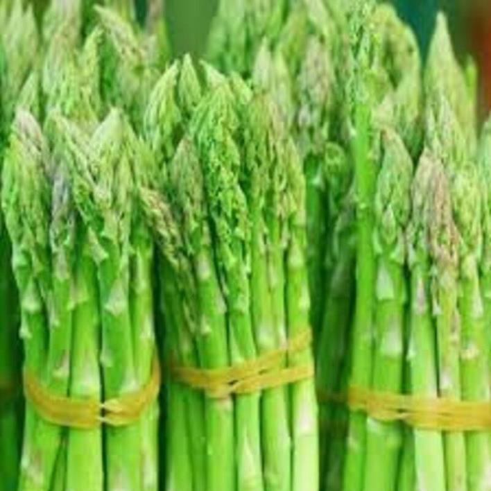 Cây giống măng tây xanh bầu giống