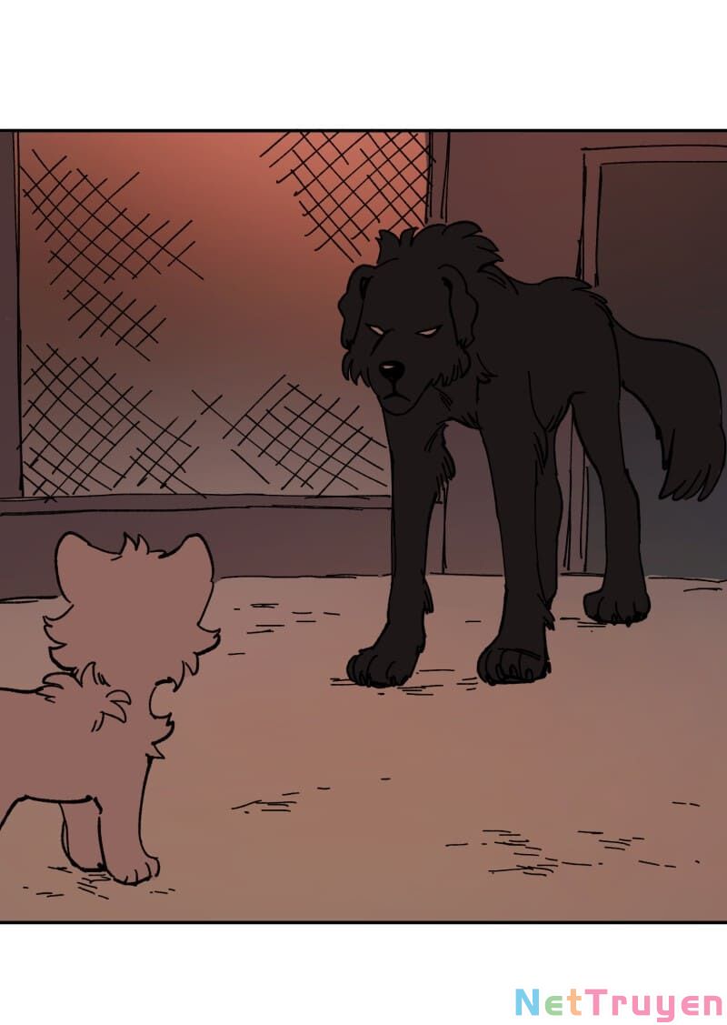 lumine - cội nguồn ánh sáng chapter 113 33