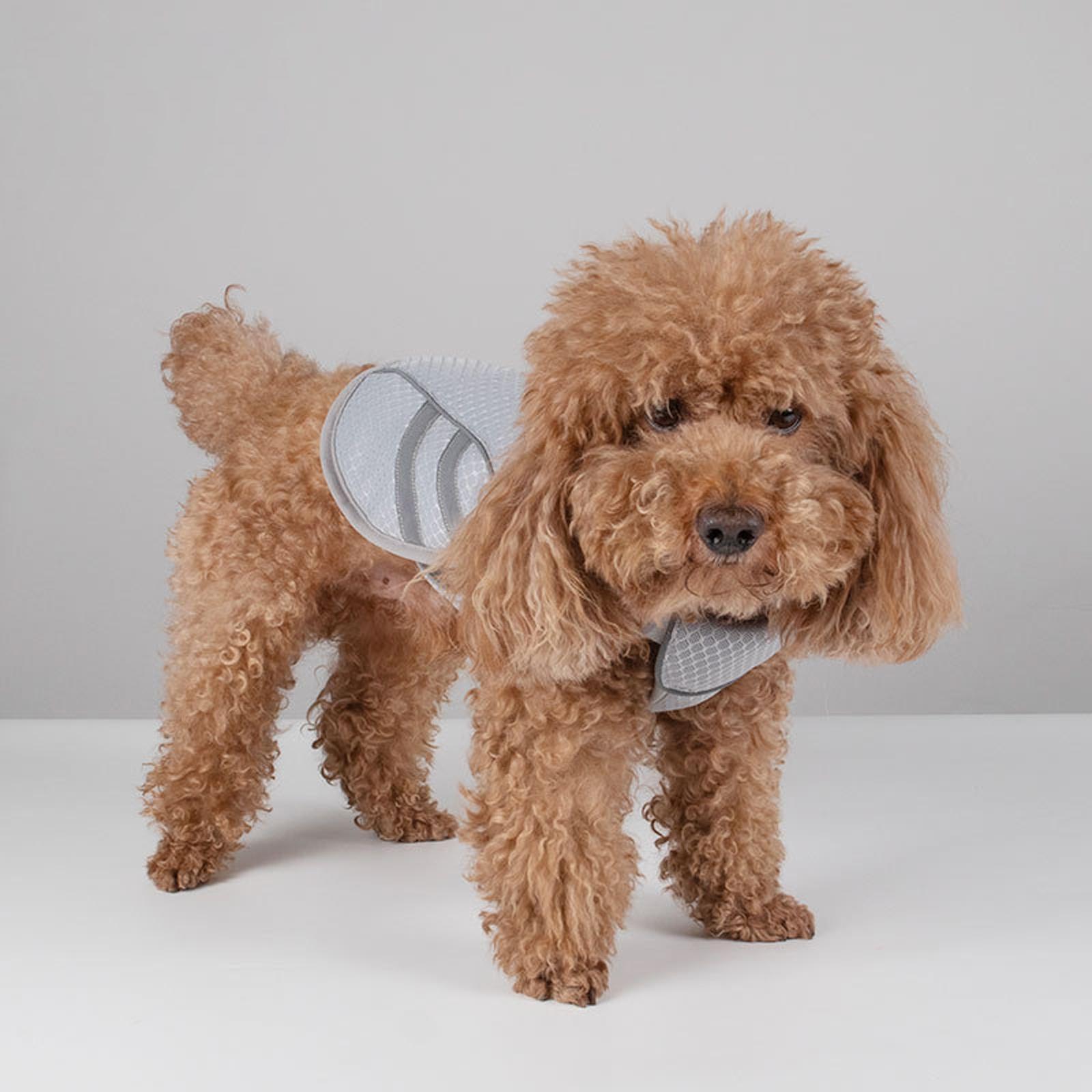 Dog Cooling Vest Harness Reflective Adjustable for Hunting Training upplies S