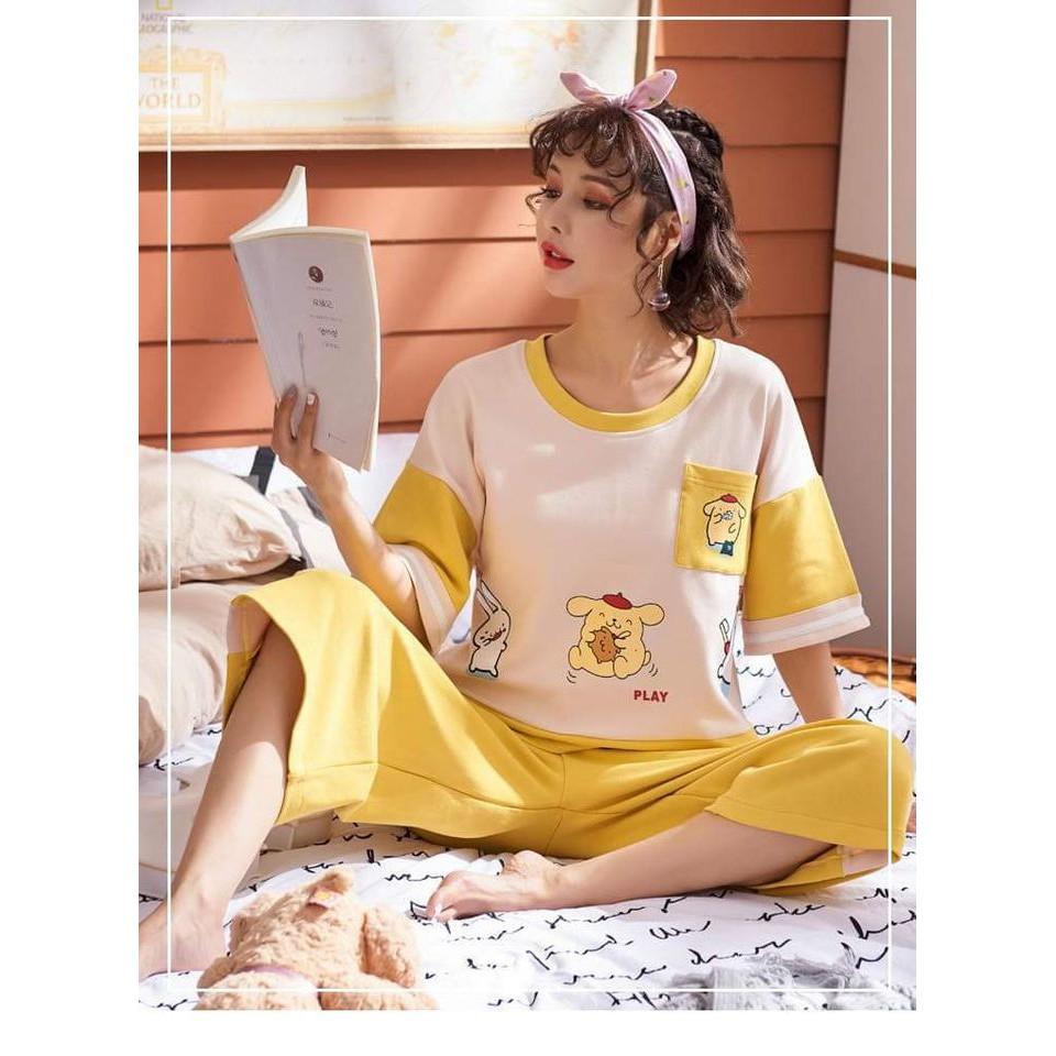 SÉT BỘ THUN LỬNG NGƯỜI LỚN CON THỎ