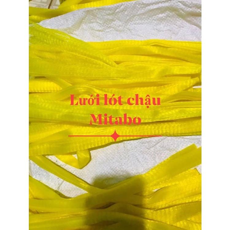 Túi lót chậu chống rơi
