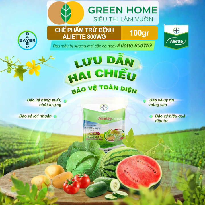 Chế Phẩm Trừ Bệnh Aliette 800WG GreenHome, Gói 100gr, Đặc Trị Thối Rễ, Lở Cổ Rễ, Xì Mủ Cho Cây Trồng