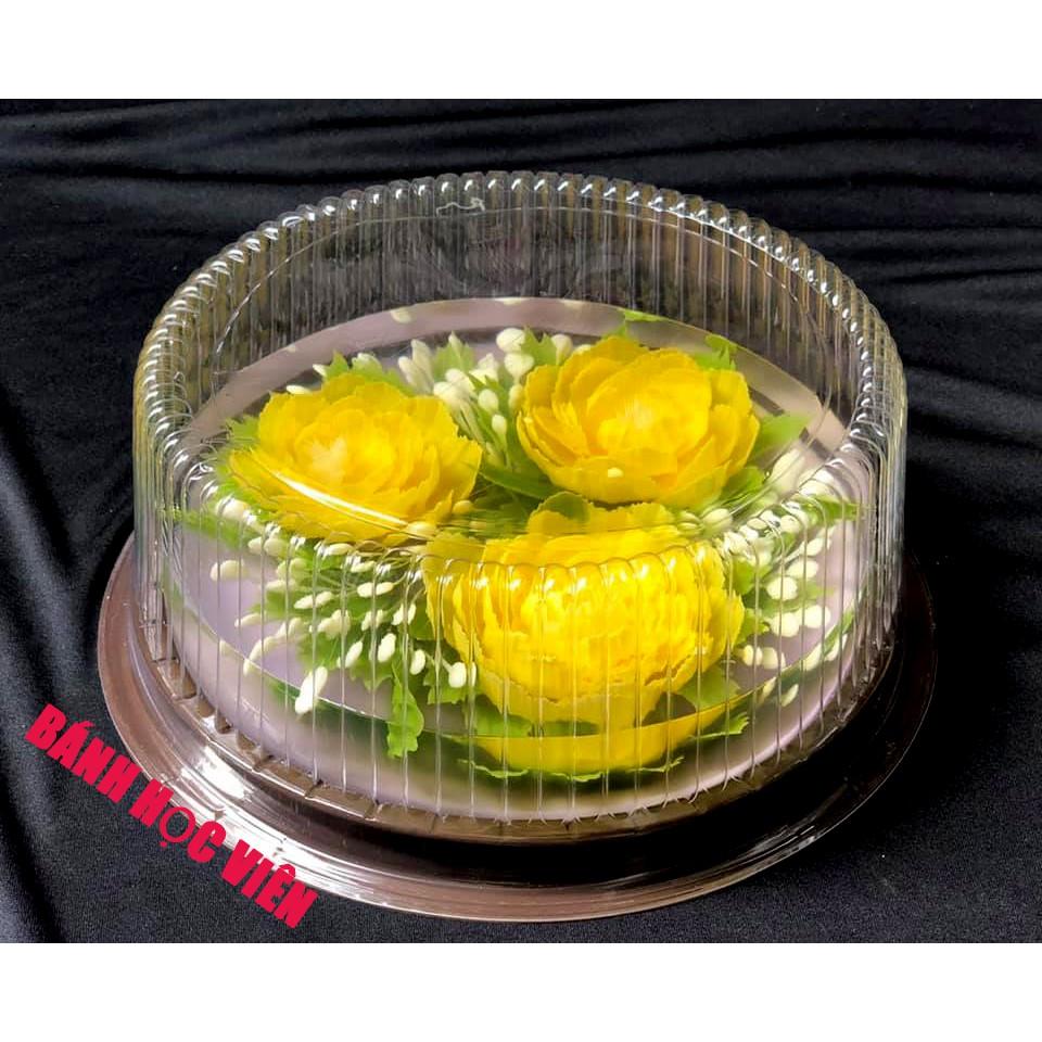 10 hộp nhựa đế đen đựng bánh size 18-20cm