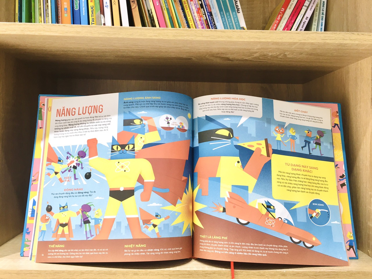 Bộ Sách Giáo Sư Mèo Siêu Việt: Phiêu Lưu Trong Cơ Thể Người + Thám Hiểm Thế Giới Nguyên Tử + Khám Phá Không Gian + Du Hành Biển Thẳm