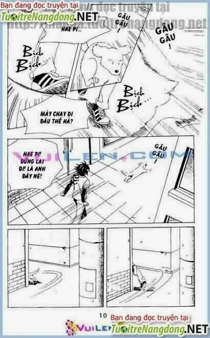 sức thanh xuân chapter 10 10
