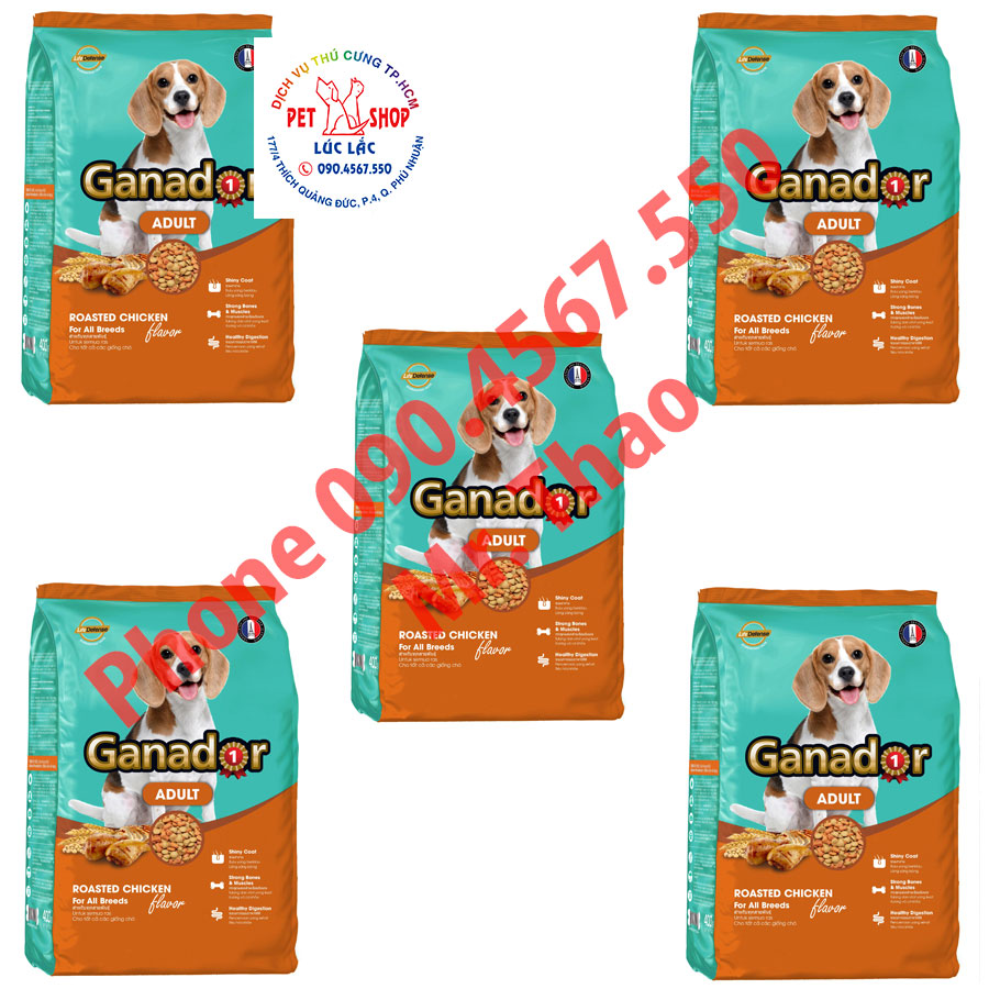 Combo 5 gói thức ăn cho chó trưởng thành Ganador vị gà nướng Adult Roasted Chicken Flavor 400gr