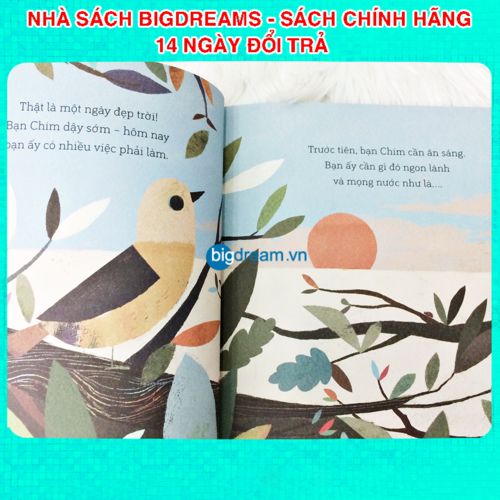 Câu chuyện khoa học A Science Storybook Bộ 4 quyển Truyện kể cho bé trước giờ đi ngủ phát triển tư duy