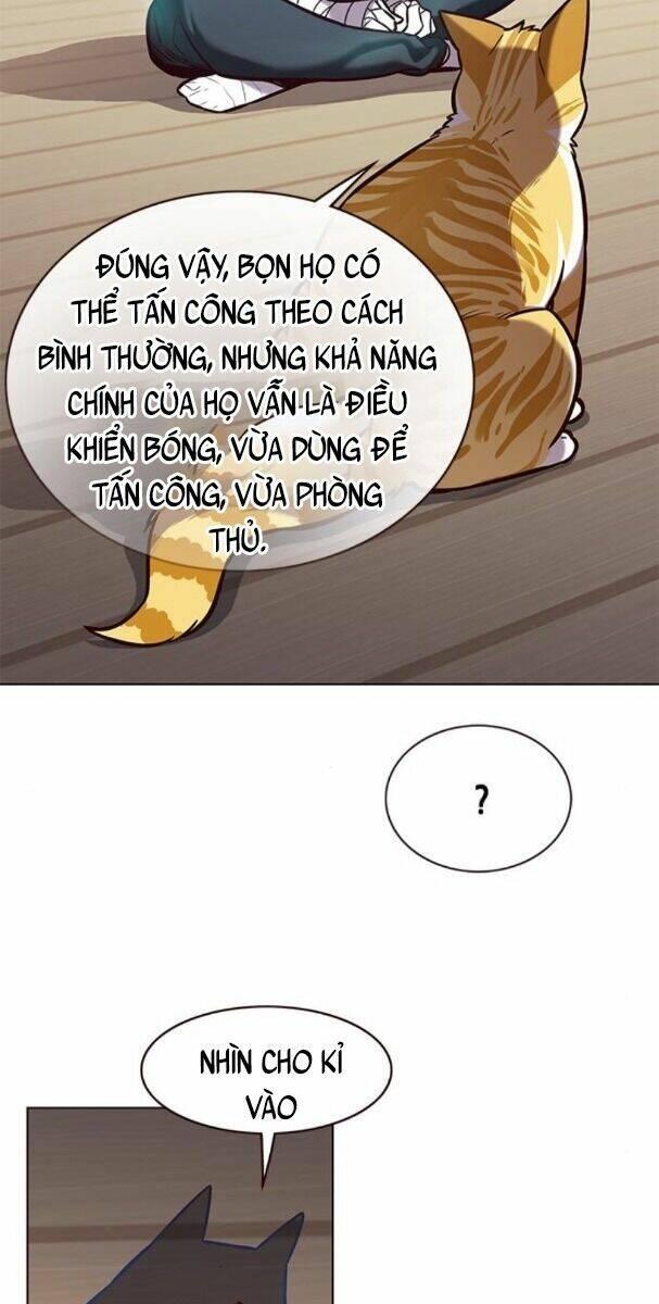 biến thân thành mèo chapter 174 43