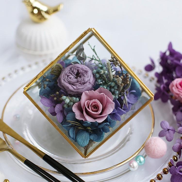 Bình TERRARIUM  - bình thủy tinh trồng cây - chậu kính hình học terarium