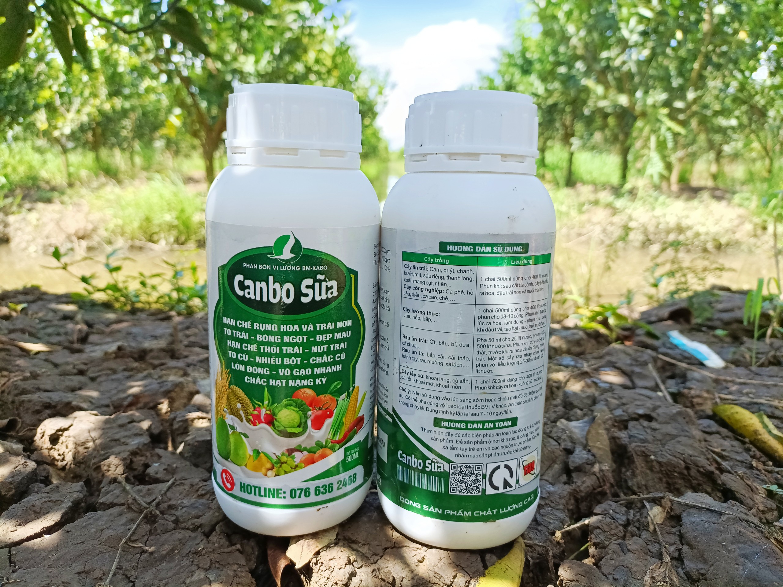 CANBO SỮA CHAI 500ML .to trái, bóng trái, ngọt trái, đẹp màu, hạn chế nứt trái, thối trái, hạn chế sượng trái