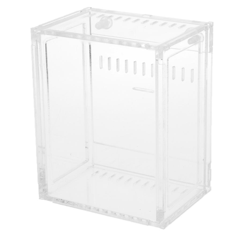 Reptile Terrarium Amphibian Habitat for Mini Pet Houses Acrylic Box Clear