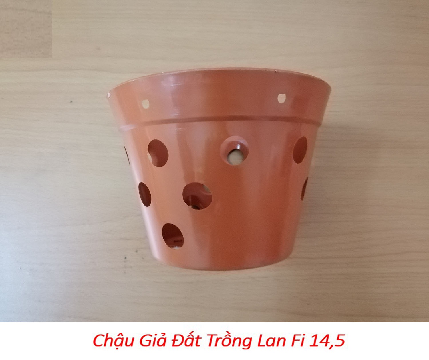100 chậu giả đất trồng lan Fi 14.5 - đường kính 14.5cm