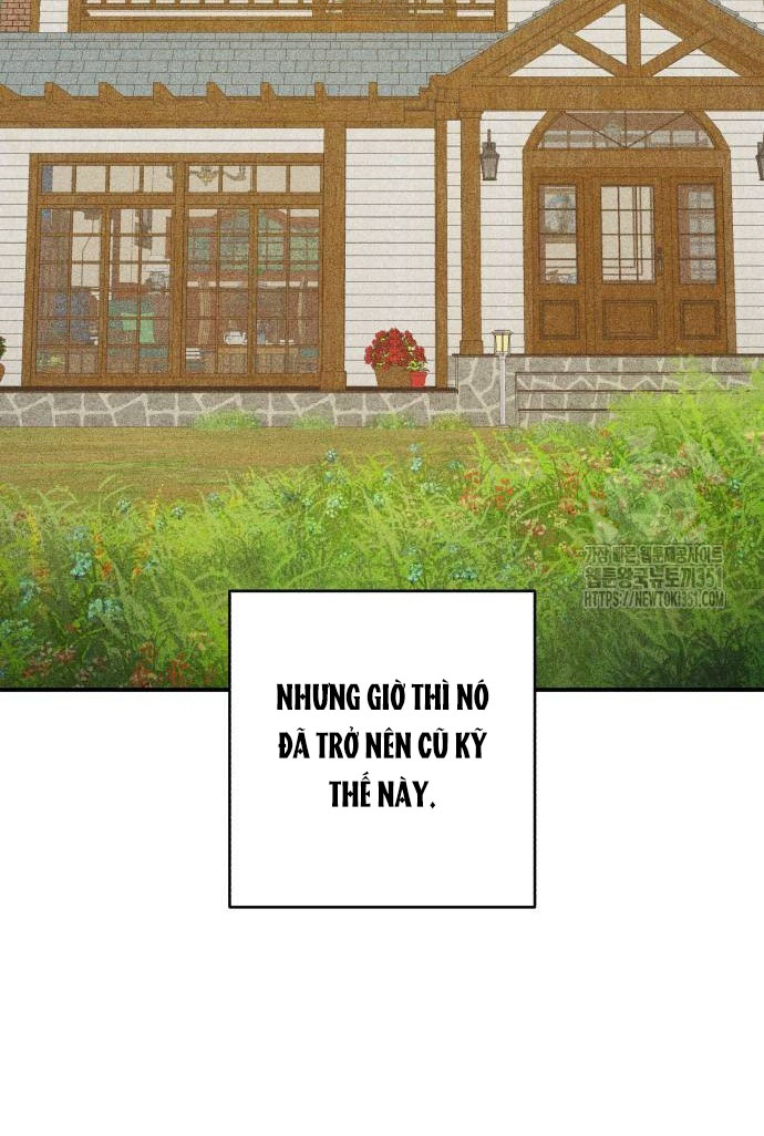 bóng râm mùa xuân chapter 11.2 19