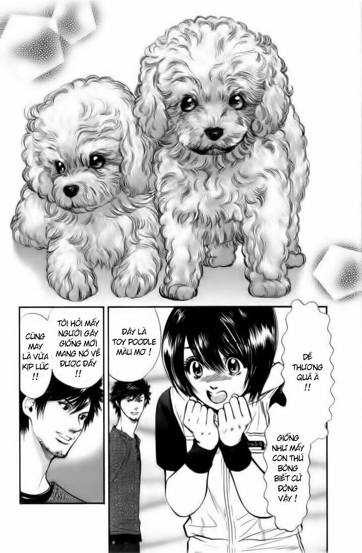 cô nàng yêu chó chapter 24 2