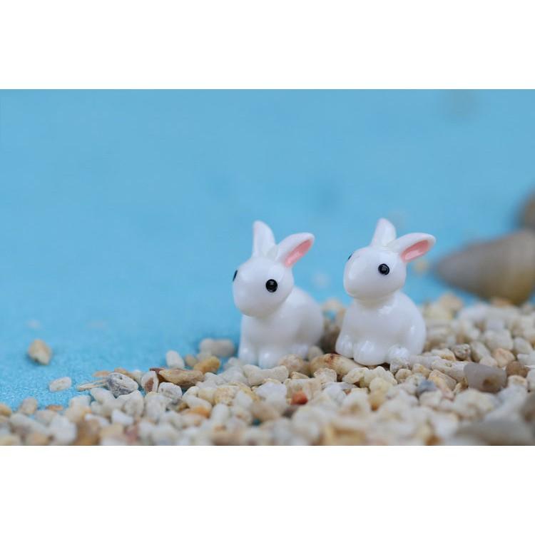 Tiểu cảnh Terrarium ️ Mô hình thỏ trắng tiểu cảnh trang trí sen đá, sân vườn, bể cá, bể terrarium